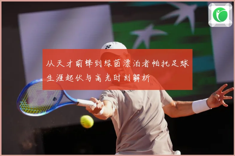 从天才前锋到绿茵漂泊者帕托足球生涯起伏与高光时刻解析