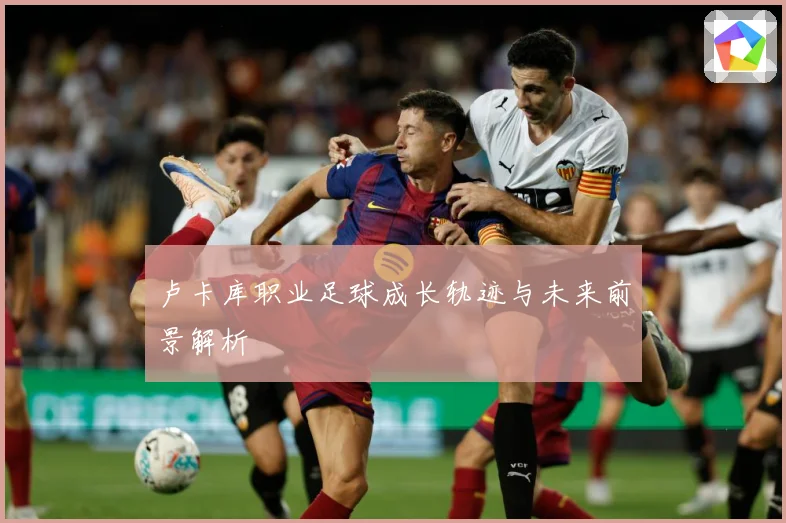 卢卡库职业足球成长轨迹与未来前景解析