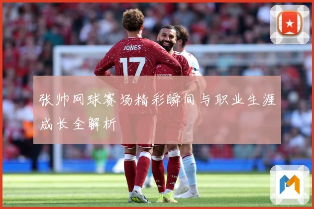 张帅网球赛场精彩瞬间与职业生涯成长全解析