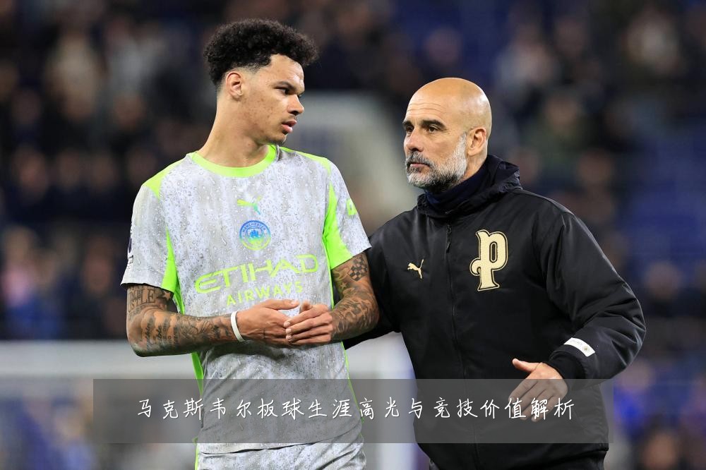 马克斯韦尔板球生涯高光与竞技价值解析