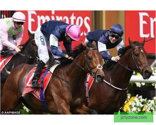 世界杯竞猜技巧揭秘 提升你的投注成功率 轻松赢得大奖